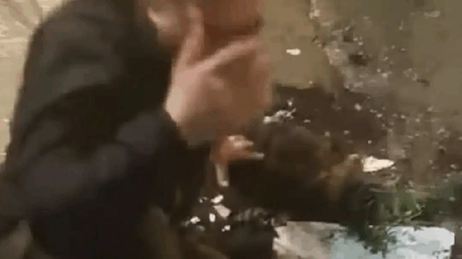 thessaloniki-vinteo-apo-ti-stigmi-poy-diarriktes-sfadazoyn-pidixan-apo-mpalkoni-kai-espasan-ta-podia-toys-432376