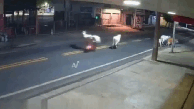 vinteo-sok-nekros-podosfairistis-meta-apo-sygkroysi-me-agelada-433042