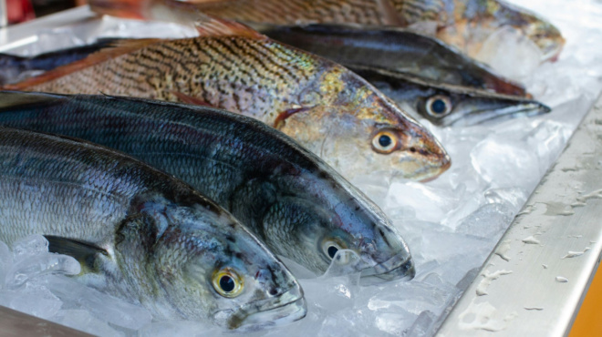 oi-eidikoi-proeidopoioyn-min-katanalosete-ayta-ta-psaria-amp-8211-einai-gemata-ydrargyro-429342