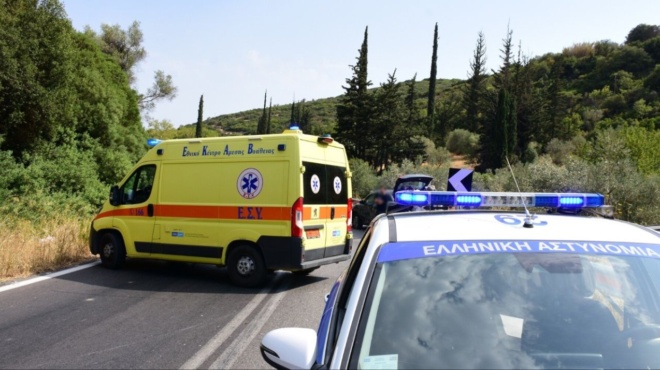 sok-ton-vrikan-kremasmeno-stin-elia-amp-8211-anatrichiasan-oloi-molis-katalavan-poianoy-aderfos-einai-amp-8230-429933