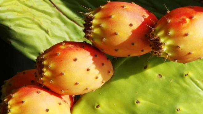 na-giati-prepei-na-ta-trome-poso-ofelima-einai-430729