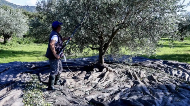 vomva-gia-osoys-echoyn-elies-stin-ellada-akomi-kai-an-den-tis-mazeyoyn-i-den-vgazoyn-ladi-prepei-na-kanoyn-1-pragma-allios-plironoyn-433928