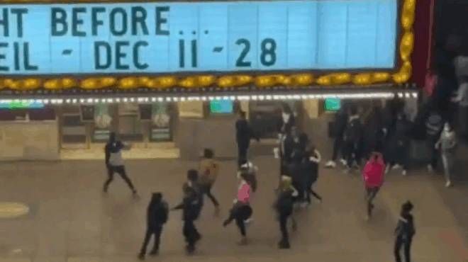 tromos-sto-sikago-pyrovolismoi-stin-teleti-fotagogisis-toy-christoygenniatikoy-dentroy-skotothike-14chronos-vinteo-432397