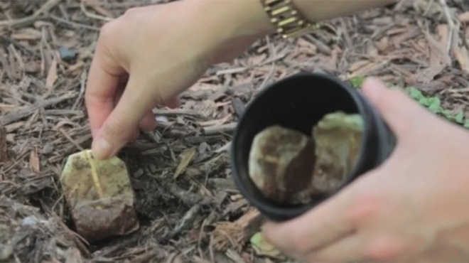 15-chriseis-gia-ta-fakelakia-toy-tsagioy-poy-den-gnorizate-433669