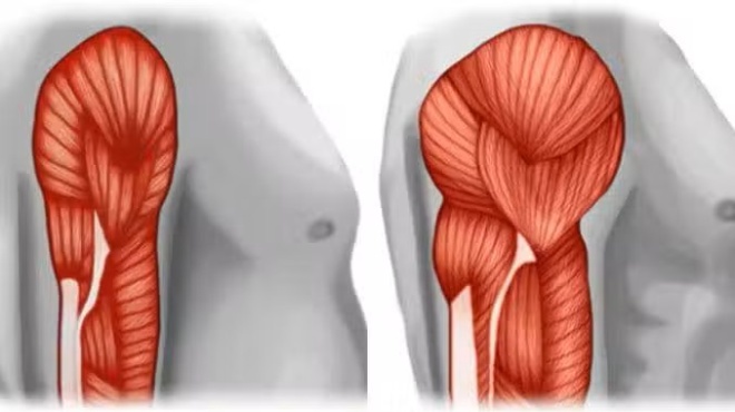 prote-ni-den-einai-mono-to-kreas-oi-20-kalyteres-fytikes-piges-prote-nis-gia-na-apofygete-tis-zoikes-trofes-433897