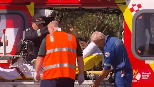 tragodia-stin-aystralia-karcharias-katasparaxe-20chroni-amp-8211-se-krisimi-katastasi-filos-tis-434279