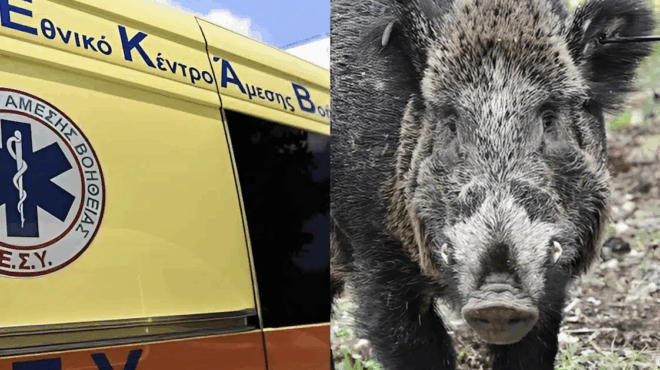 tragodia-skotothike-24chronos-motosikletistis-meta-apo-sygkroysi-me-agriogoyroyno-426535