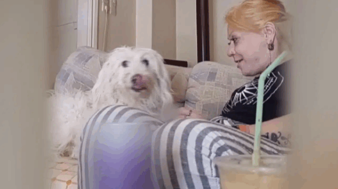 thriler-me-tin-exafanisi-tis-27chronis-vikys-kioytsaki-o-aschimos-kavgas-kai-i-arpagi-tis-rozas-432314