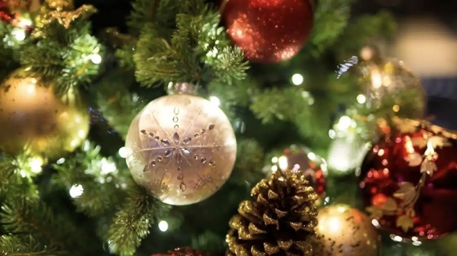 to-christoygenniatiko-dentro-apo-ta-ikea-gia-mikra-diamerismata-stilato-kai-praktiko-kostizei-4-eyro-427771