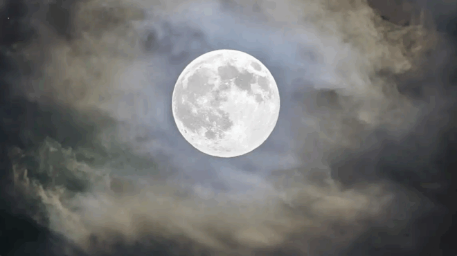 ayta-einai-ta-4-zodia-poy-tha-anastatosei-i-apopsini-panselinos-ston-tayro-427534