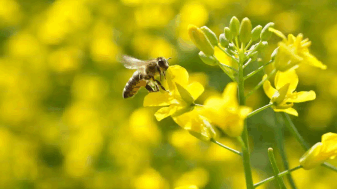 tsimpima-melissas-kostise-ti-zoi-se-50chrono-ston-domoko-mia-seira-apo-atychi-gegonota-kai-o-thanatos-sta-cheria-filoy-toy-433791