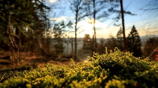 pige-stin-toyaleta-amp-038-exafanistike-gia-57-chronia-simera-ton-vrikan-thammeno-sto-chorafi-pagose-i-oikogeneia-toy-433982