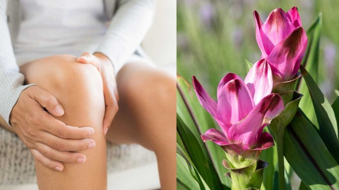 to-antiflegmonodes-mpachariko-poy-anakoyfizei-ton-pono-sta-gonata-dinei-geysi-se-polla-fagita-433916