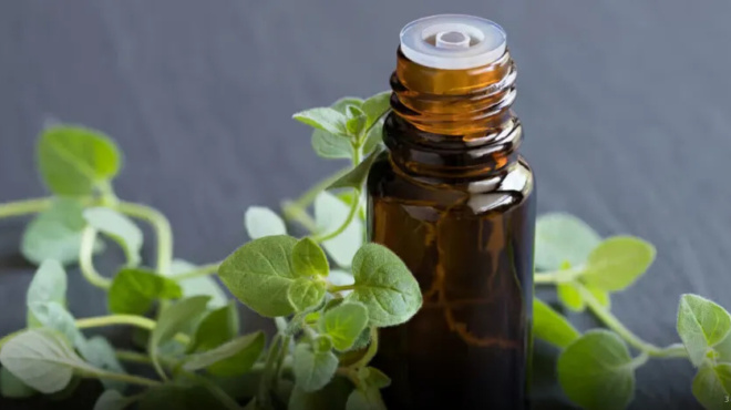 to-pio-isxupo-votano-poy-katastpefei-papasita-loimoxeis-toy-oyropoiitikoy-systimatos-kai-tis-oyrodochoy-kystis-erpita-ioys-gripis-povous-stis-arthroseis-arthritida-ischialgia-kantinta-433174