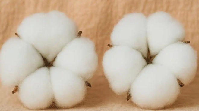 to-kolpo-gia-na-kanete-to-spiti-sas-na-m-schomyrizei-me-lig-vamvaki-432102