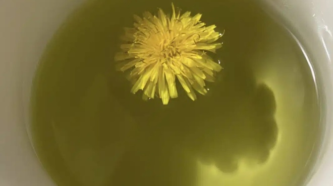 to-rofima-poy-pinoyn-ta-montela-gia-epipedi-koilia-prin-tin-pasarela-me-2-ylika-katharizei-to-entero-427866