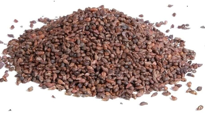 mplokaroun-tis-flegm-nes-mikrainoyn-toys-karkinikoys-ogkoys-oi-sporoi-tis-makrozoias-poy-ligoi-ellines-trone-simera-429923