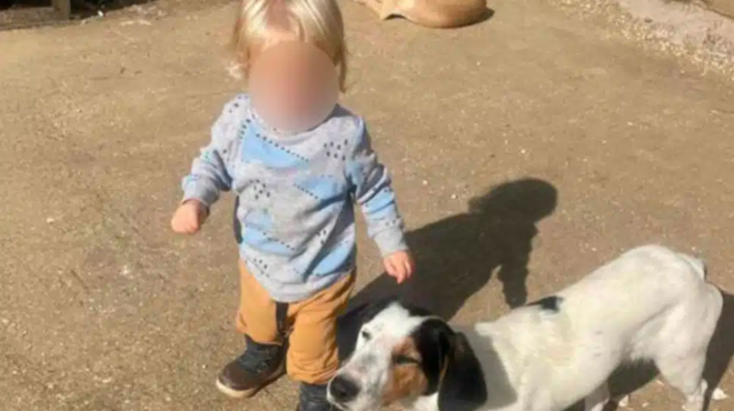 aytos-einai-to-xantho-aggeloydi-poy-katasparaxe-to-pitmpoyl-chtes-stin-zakyntho-matheytike-oli-i-alitheia-436660