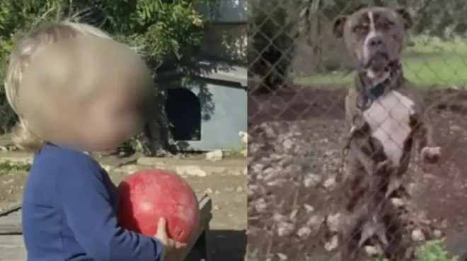 thrinos-gia-ton-mikro-aggelo-tis-zakynthoy-aytos-einai-o-logos-poy-to-pitmpoyl-ton-katasparaxe-kai-ton-skotose-436695