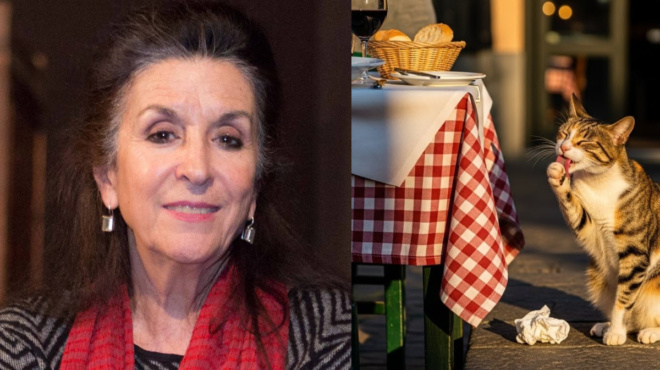 nena-menti-echasa-tria-paidia-apo-toxoplasma-efaga-kreas-apo-taverna-poy-mallon-to-eiche-glypsei-gata-435785