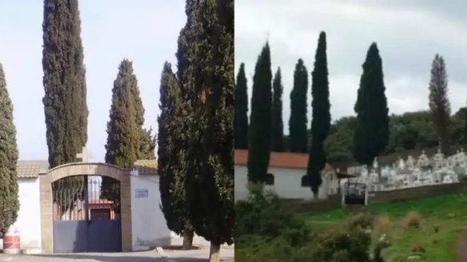 giati-sta-nekrotafeia-fyteyoyn-kyparissia-i-apantisi-tis-ekklisias-435867