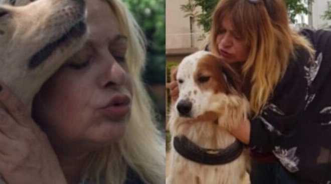 tzoys-eyeidi-se-kapoion-poy-den-agapaei-ta-zoa-oyte-geia-den-tha-elega-435929