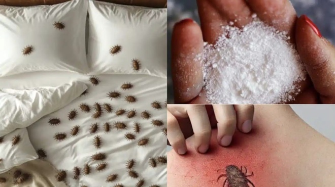 pos-na-afairesete-ta-akarea-tis-skonis-kai-toys-korioys-apo-to-stroma-sas-me-fysiko-tropo-436703