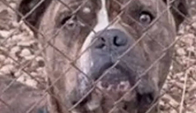 molis-matheytike-gi-ayto-to-pitmpoyl-epitethike-ston-2chrono-436804