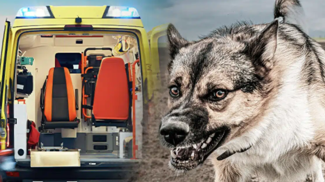 sok-simera-sti-zakyntho-me-nekro-2chrono-paidaki-matheytike-oli-i-alitheia-i-ratsa-toy-skyloy-436328