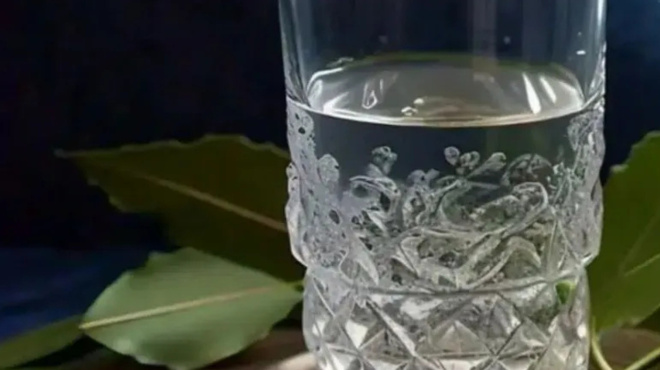 giati-prepei-na-vazete-fylla-dafnis-sto-nero-prin-apo-tis-24-dekemvrioy-440800