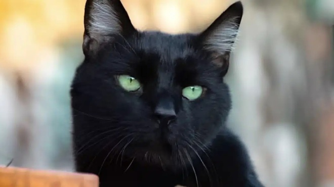 ta-3-atycha-zodia-toy-2026-tha-dokimastoyn-perissotero-apo-oloys-437655