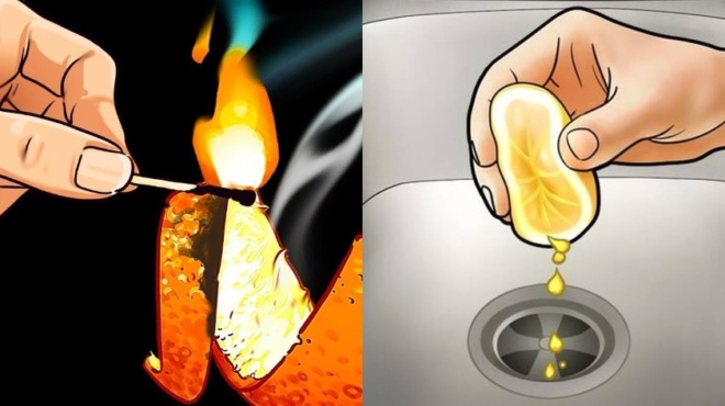 telos-oi-dysarestes-myrodies-7-exypna-kolpa-gia-na-myrizei-i-koyzina-sas-freskada-kai-kathariotita-oli-mera-440686