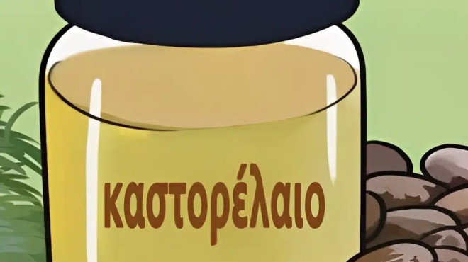 an-den-chrisimopoieite-kastorelaio-chanete-polla-akoloythoyn-7-pragmata-poy-prepei-na-gnorizete-440961