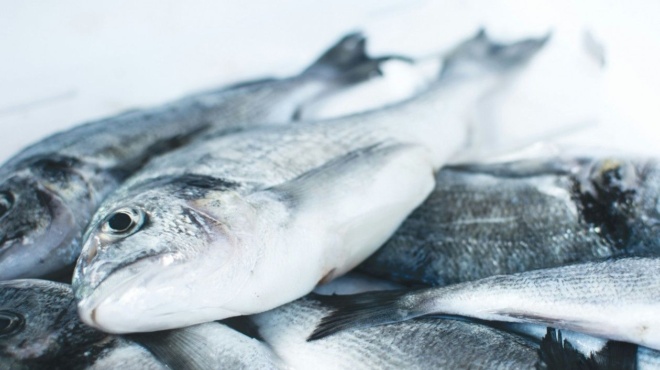 to-dinoyme-sta-paidia-mas-mpainei-se-ola-ta-ellinika-spitia-ki-omos-ayto-einai-to-pio-dilitiriodes-psari-toy-kosmoy-amp-8211-echei-pano-apo-70-parasita-440787