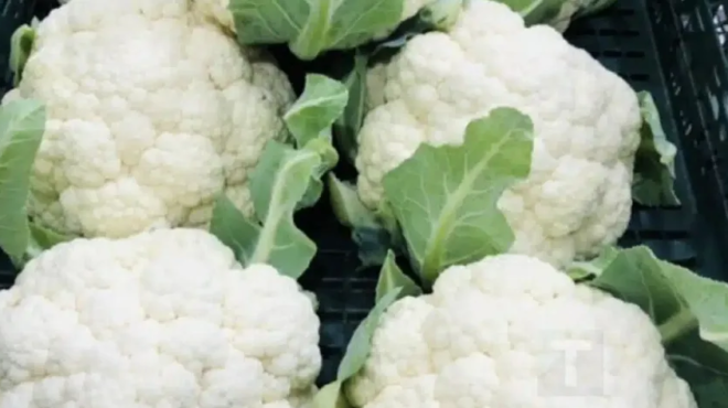 oi-giatroi-apokaluptouv-oti-i-katanalosi-leykoy-koynoypidioy-ppokalei-440616