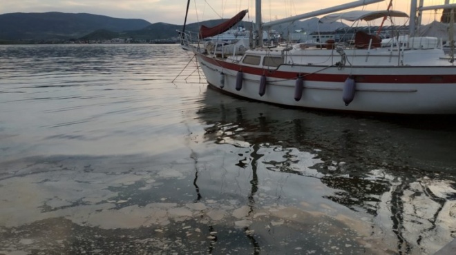 ektakto-tora-vrethike-nekros-sto-limani-443481