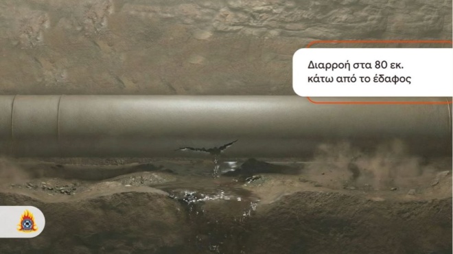 ektakto-vgike-to-porisma-gia-tin-foniki-ekrixi-sti-violanta-amp-8211-apo-ayto-xekinisan-ola-amp-8211-i-anakoinosi-tis-pyrosvestikis-450149