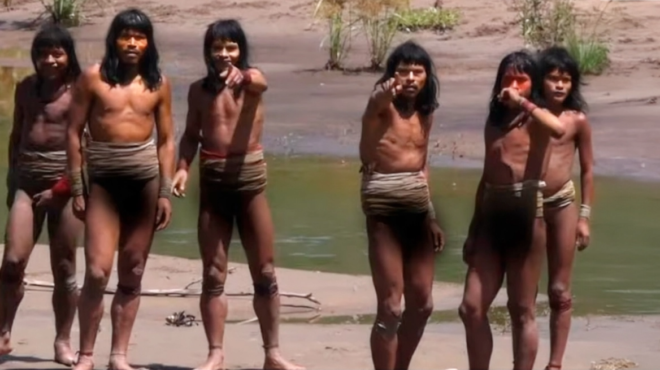 spanio-vinteo-apo-fyli-poy-zei-apomonomeni-ston-amazonio-amp-8211-skeftomoyn-apo-poy-tha-erthei-to-velos-leei-o-perivallontologos-poy-tin-anakalypse-447076