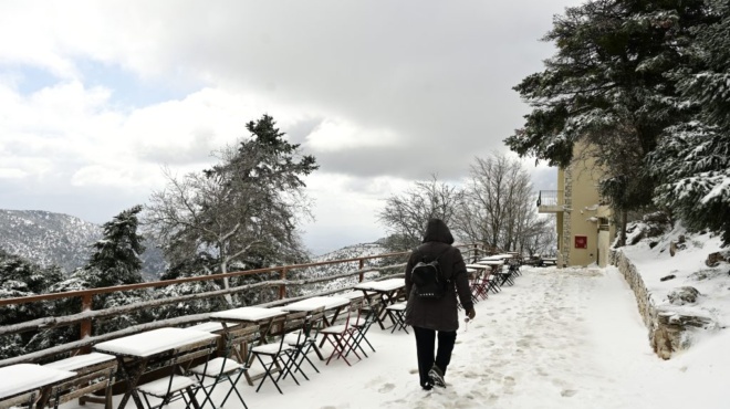 orgismenos-o-kolydas-ti-leei-gia-ta-chionia-poy-erchontai-445388