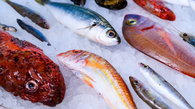 to-pio-ygieino-psari-poy-oloi-prepei-na-trome-toylachiston-dyo-fores-tin-evdomada-445626