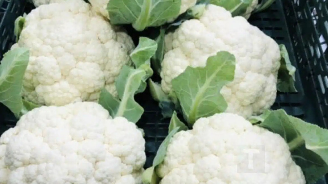 giatroi-apokalyptoyn-oti-i-katanalosi-koynoypidioy-prokalei-445646