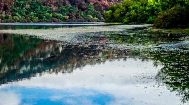 tragiko-peristatiko-ston-strymona-nekros-psaras-meta-apo-anatropi-varkas-443788