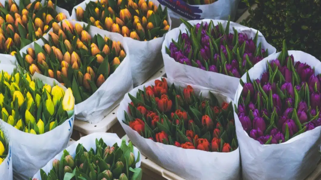 eortologio-poios-giortazei-simera-deytera-26-ianoyarioy-449448