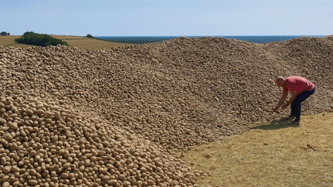 agrotis-emeine-me-32-tonoys-patates-poy-kaneis-den-ithele-mechri-poy-to-chorafi-toy-plimmyrise-apo-aytokinita-449005