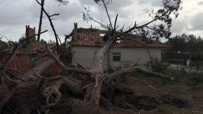 kleista-scholeia-katarreoyn-ktiria-toylachiston-5-nekroi-apo-tin-kataigida-kristin-amp-8211-einai-san-na-mas-chtypise-vomva-450291