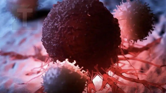 8-apo-tis-kalyteres-antikarkinikes-trofes-irthe-i-ora-na-tis-prosthesete-sti-diatrofi-sas-446729