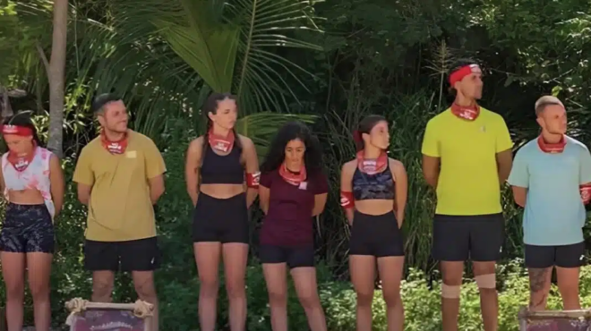 voyizei-kai-i-zoygkla-gia-to-paranomo-zeygari-sto-survivor-449110