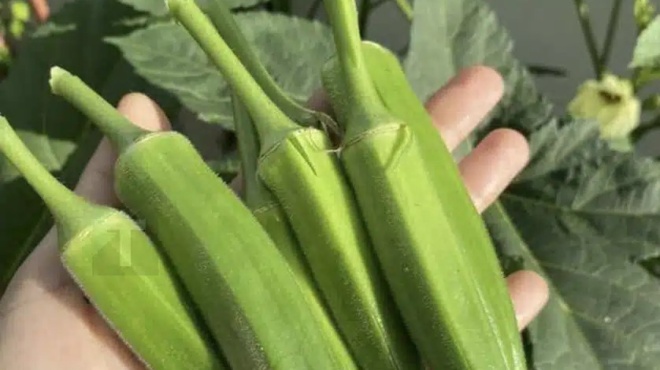 oi-giatroi-apokalyptoyn-oti-i-katanalosi-mpamion-prokalei-457306