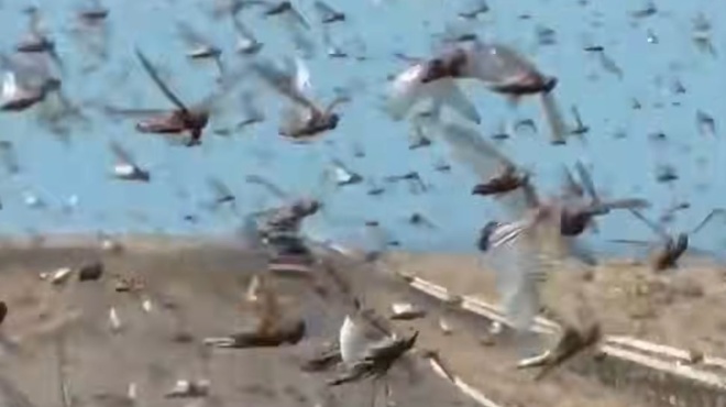 pnigontai-stis-akrides-oloklires-poleis-echoyn-skepasei-dromoys-peftoyn-pano-sta-amaxia-apeiloyntai-kalliergeies-kai-ktinotrofia-457557