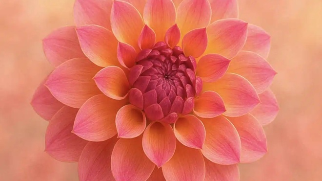 to-loyloydi-poy-antistoichei-sto-mina-poy-gennithikate-kai-ti-symvolizei-457667